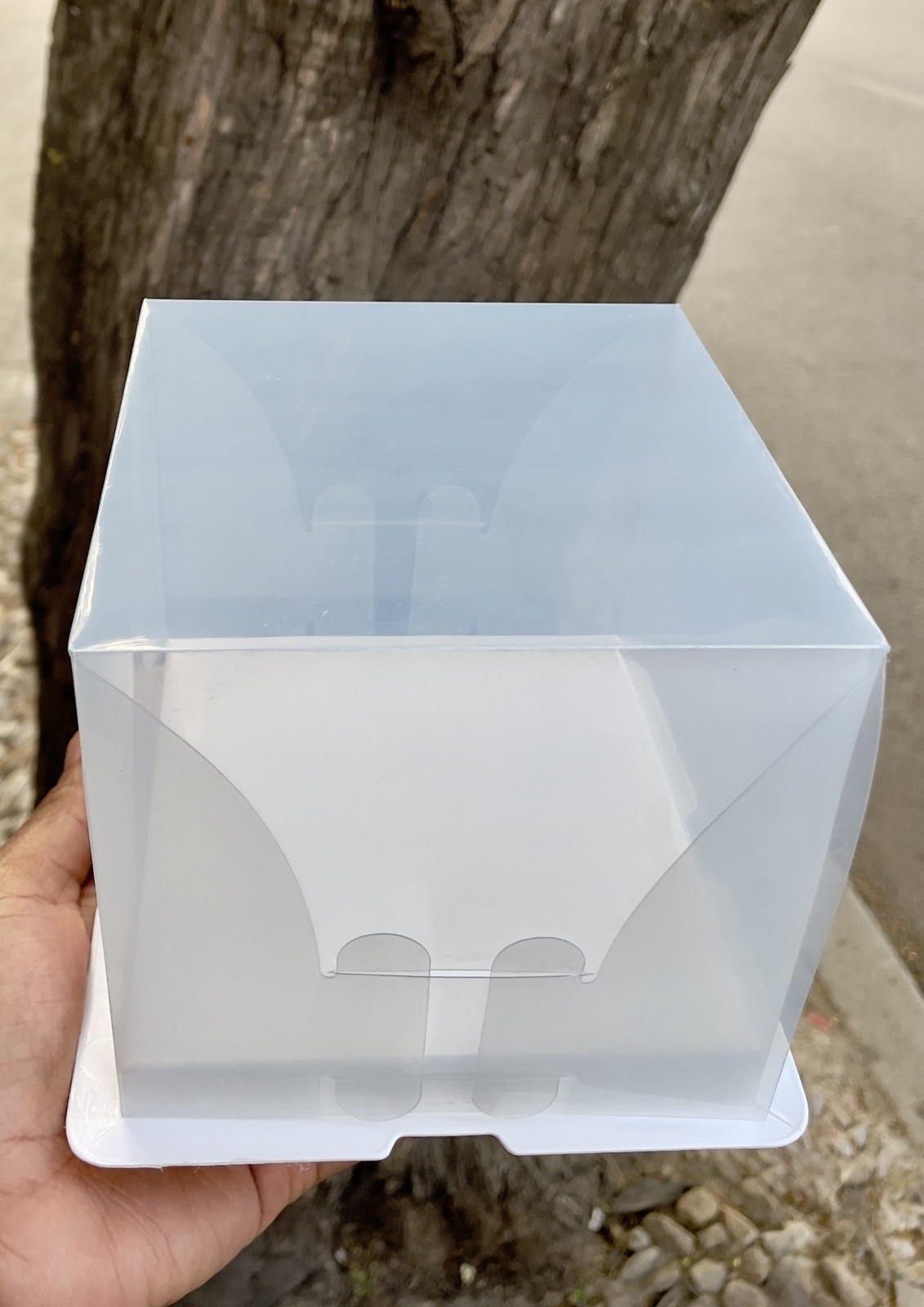 Generic packaging reference for 2-in-1 cake box — 13 × 13 × 13